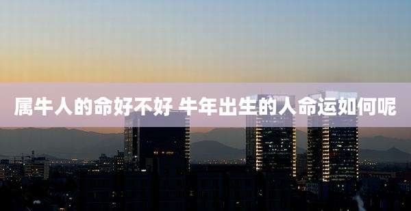 属牛人的命好不好 牛年出生的人命运如何呢