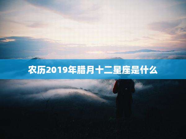 农历2019年腊月十二星座是什么