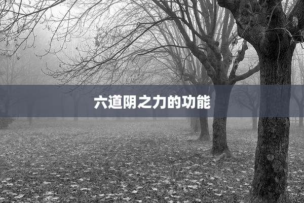 六道阴之力的功能
