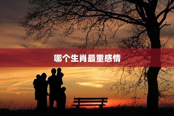 哪个生肖最重感情