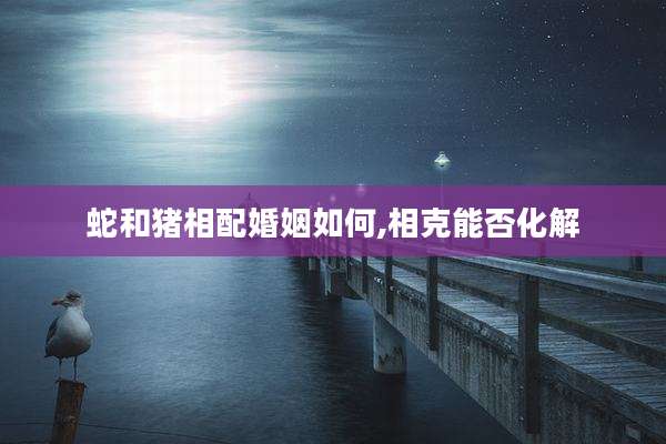 蛇和猪相配婚姻如何,相克能否化解