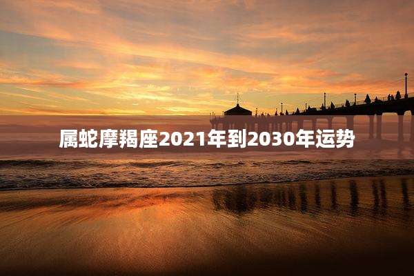 属蛇摩羯座2021年到2030年运势