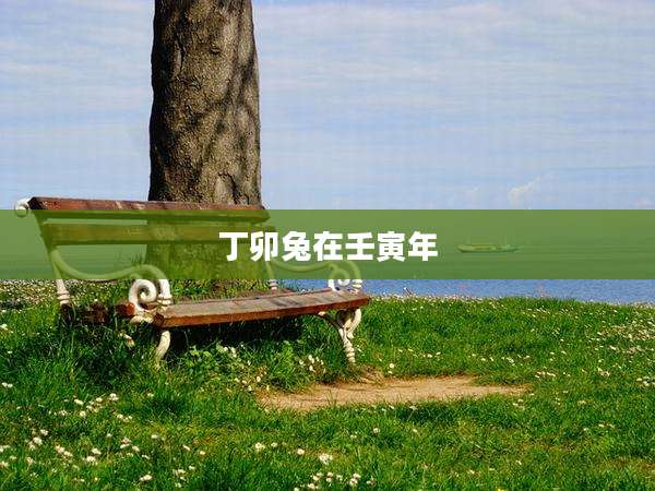 丁卯兔在壬寅年