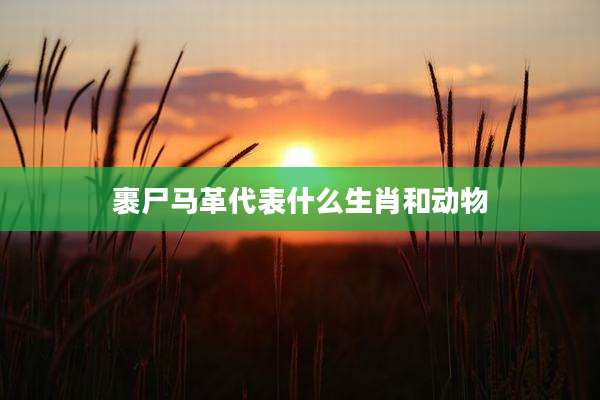 裹尸马革代表什么生肖和动物