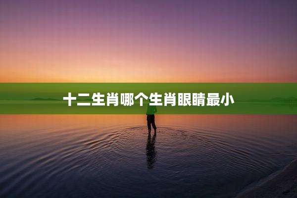 十二生肖哪个生肖眼睛最小