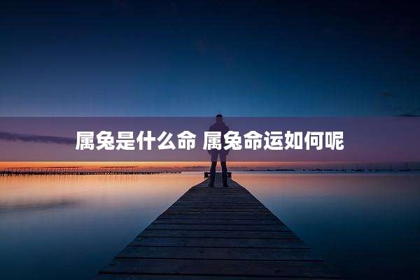 属兔是什么命 属兔命运如何呢