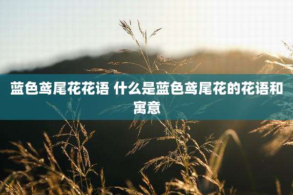 蓝色鸢尾花花语 什么是蓝色鸢尾花的花语和寓意