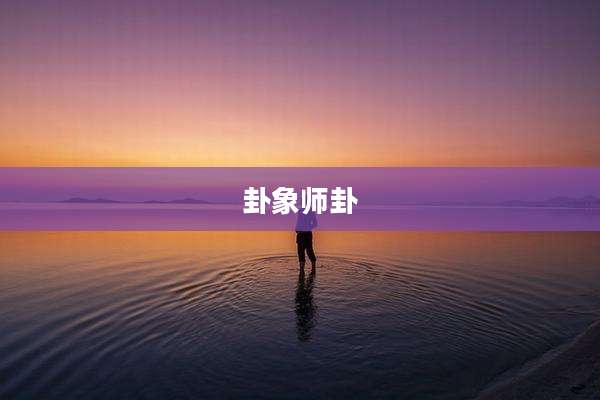卦象师卦