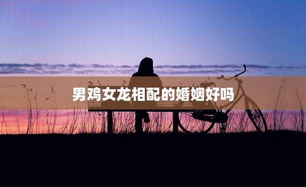 男鸡女龙相配的婚姻好吗