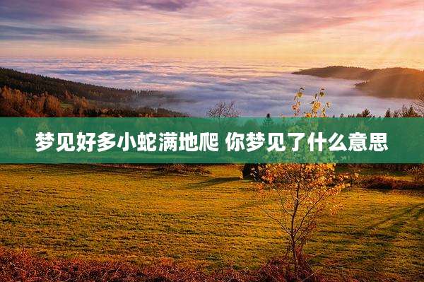 梦见好多小蛇满地爬 你梦见了什么意思