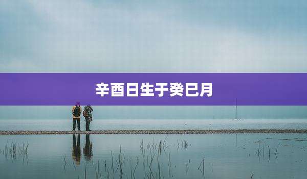 辛酉日生于癸巳月