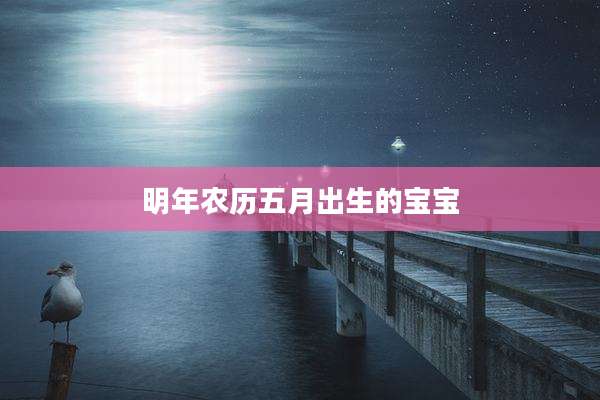 明年农历五月出生的宝宝