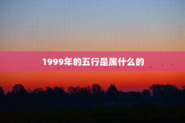 1999年的五行是属什么的