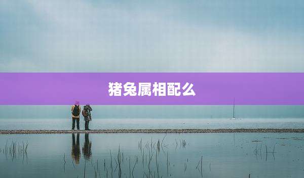 猪兔属相配么