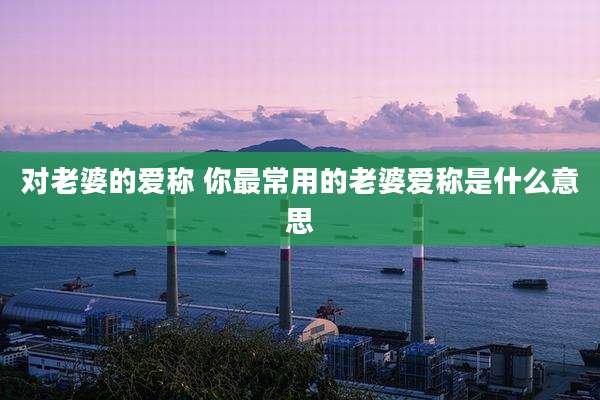 对老婆的爱称 你最常用的老婆爱称是什么意思
