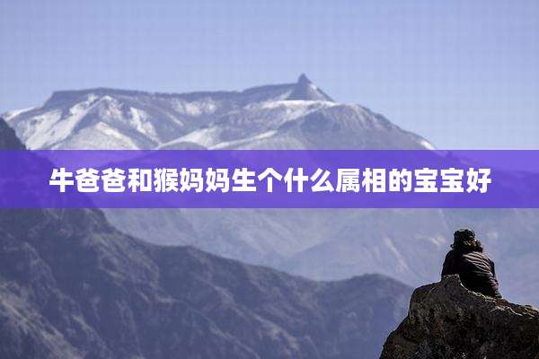 牛爸爸和猴妈妈生个什么属相的宝宝好