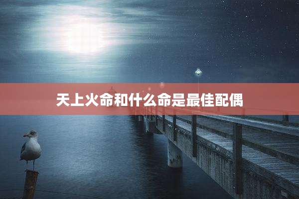 天上火命和什么命是最佳配偶