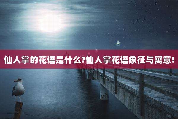 仙人掌的花语是什么?仙人掌花语象征与寓意!