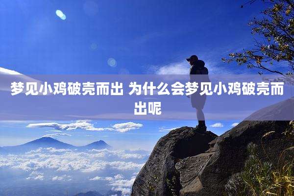 梦见小鸡破壳而出 为什么会梦见小鸡破壳而出呢