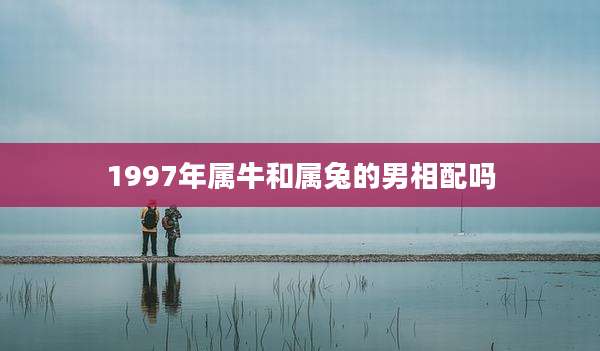1997年属牛和属兔的男相配吗