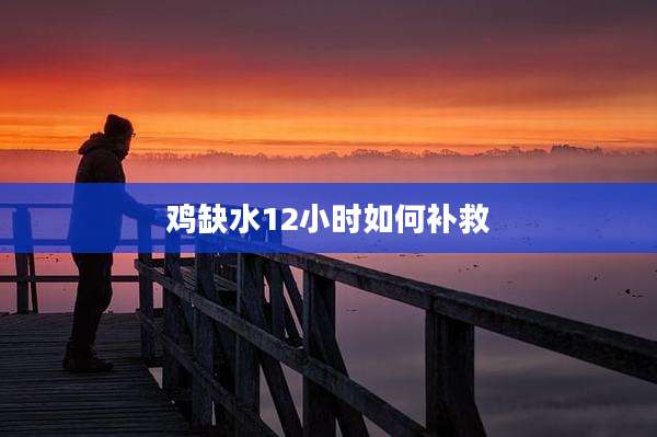 鸡缺水12小时如何补救