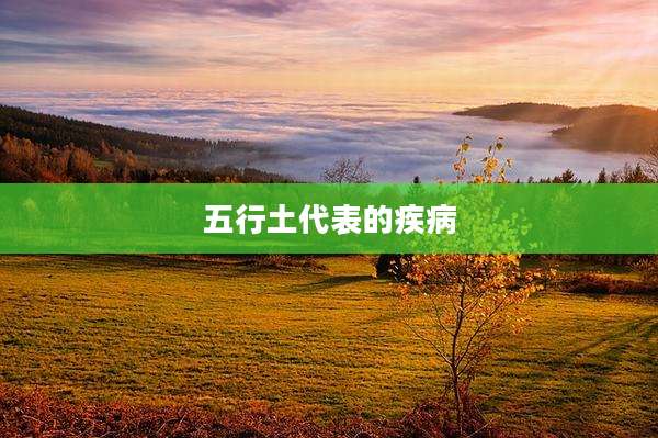 五行土代表的疾病