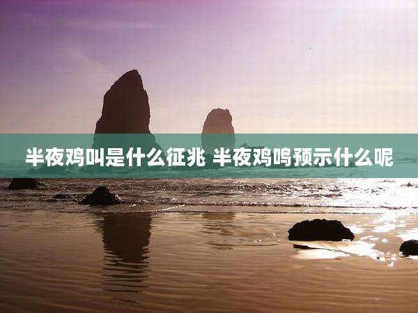 半夜鸡叫是什么征兆 半夜鸡鸣预示什么呢