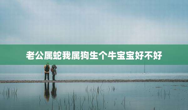 老公属蛇我属狗生个牛宝宝好不好