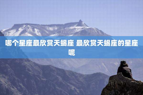 哪个星座最欣赏天蝎座 最欣赏天蝎座的星座呢