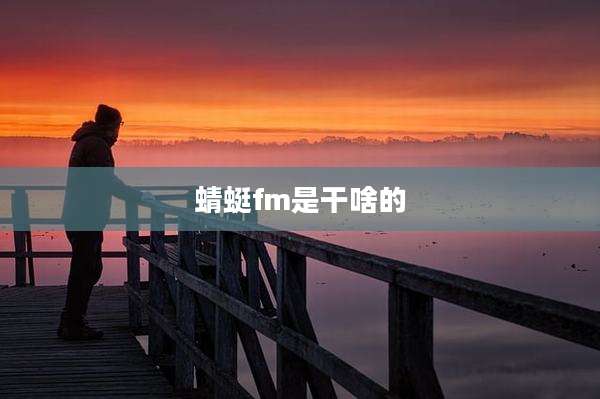 蜻蜓fm是干啥的