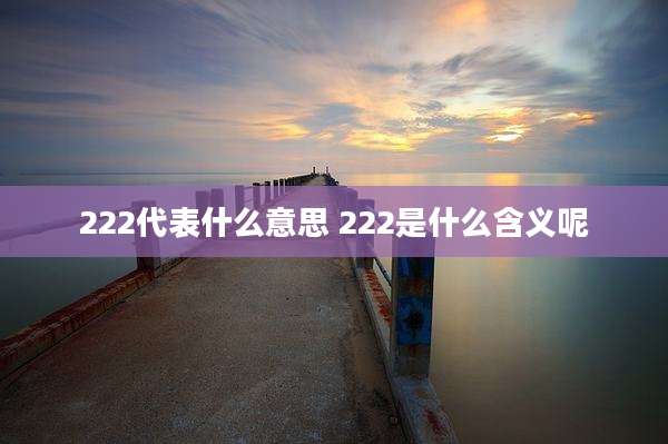 222代表什么意思 222是什么含义呢