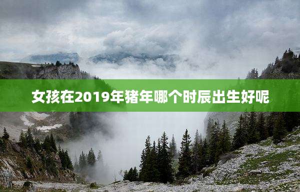 女孩在2019年猪年哪个时辰出生好呢