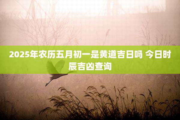 2025年农历五月初一是黄道吉日吗 今日时辰吉凶查询