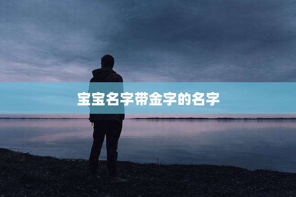 宝宝名字带金字的名字