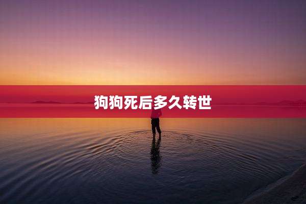 狗狗死后多久转世
