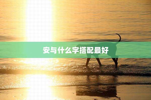 安与什么字搭配最好