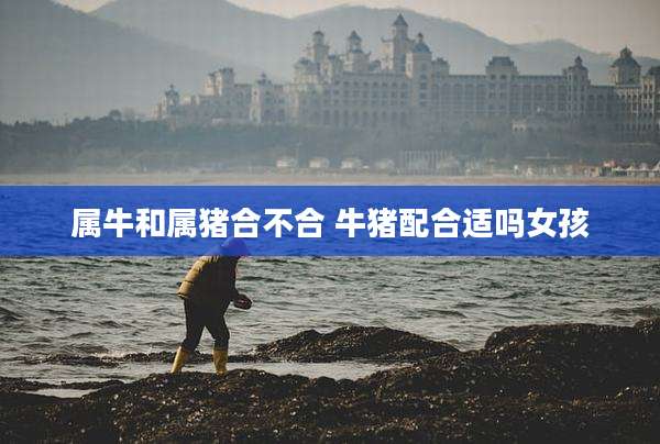 属牛和属猪合不合 牛猪配合适吗女孩