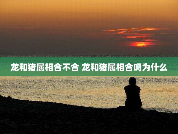 龙和猪属相合不合 龙和猪属相合吗为什么