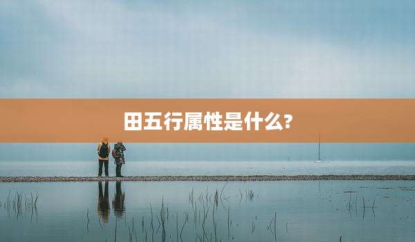 田五行属性是什么?