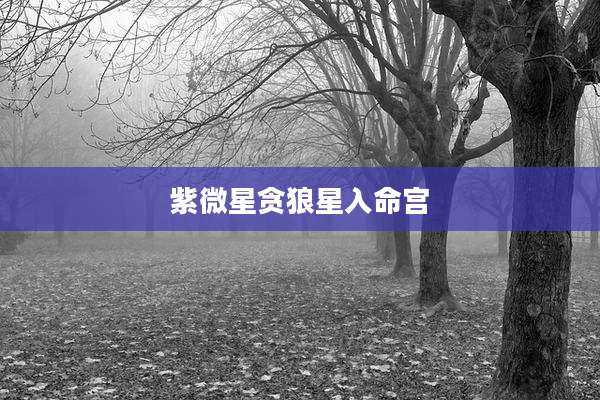 紫微星贪狼星入命宫