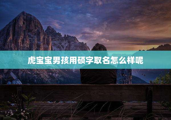 虎宝宝男孩用硕字取名怎么样呢