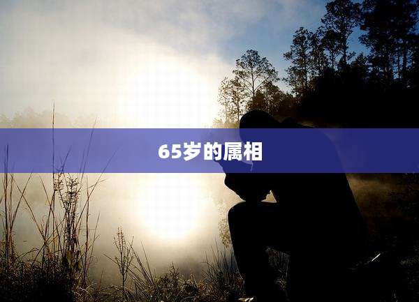 65岁的属相