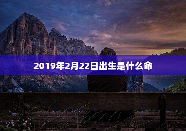 2019年2月22日出生是什么命