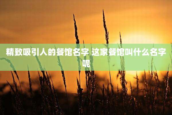 精致吸引人的餐馆名字 这家餐馆叫什么名字呢