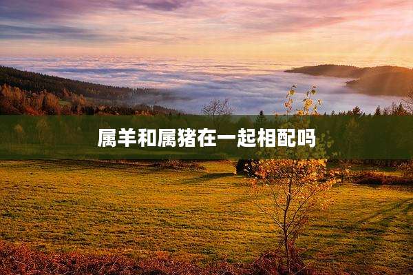 属羊和属猪在一起相配吗