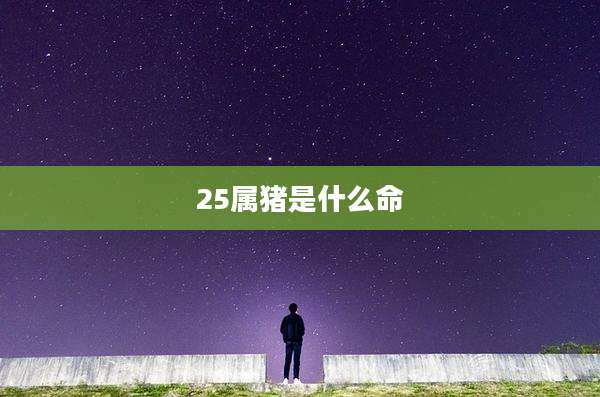 25属猪是什么命
