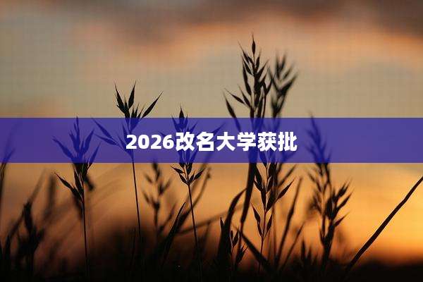 2026改名大学获批