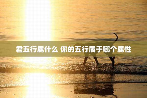 君五行属什么 你的五行属于哪个属性