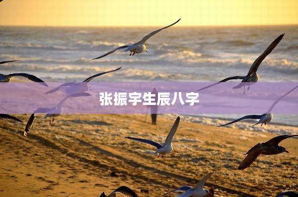 张振宇生辰八字