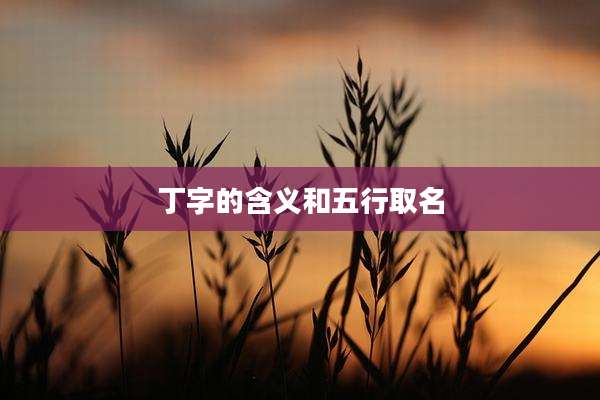 丁字的含义和五行取名